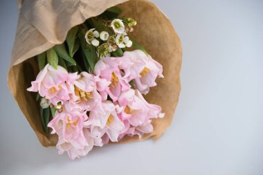 Taze bahar pembe laleleri beyaz arka plandaki eski eski eski kağıt üzerinde, boşluğu kopyala