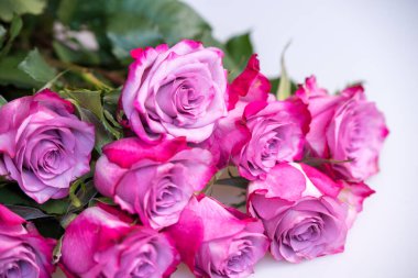 Beyaz arka planda bir buket mor gül. Çiçek arkaplanı. Anneler Günü, Düğün ve Doğum Günü konsepti.