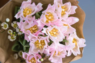 Taze bahar pembe laleleri beyaz arka plandaki eski eski eski kağıt üzerinde, boşluğu kopyala