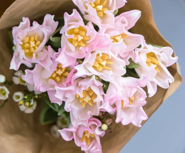 Taze bahar pembe laleleri beyaz arka plandaki eski eski eski kağıt üzerinde, boşluğu kopyala.