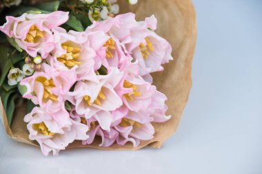 Taze bahar pembe laleleri beyaz arka plandaki eski eski eski kağıt üzerinde, boşluğu kopyala