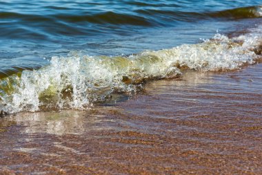 Baltık Denizi Letonya Yazın Saulkrasti. İnsanlar kumlu sahilde güneşleniyor..