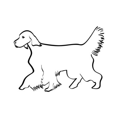 English Setter silhouette real in black, vector isolated illustration in black color on white background
