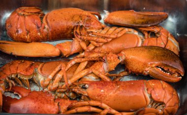 Ispanaklı ıstakoz ve safran risotto.