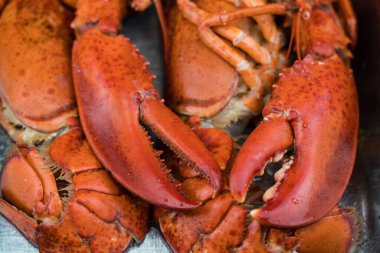 Ispanaklı ıstakoz ve safran risotto.