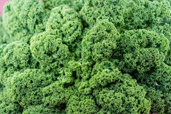 Traditionele Noord Duitse Voedsel Groene Krullende Kale — Stockfoto