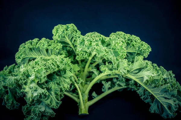traditional northern german Food green  curly Kale
