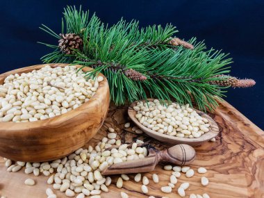 Sedir konileri ve zeytin ağacında fındıklar