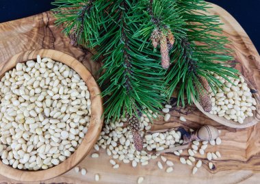 Sedir konileri ve zeytin ağacında fındıklar