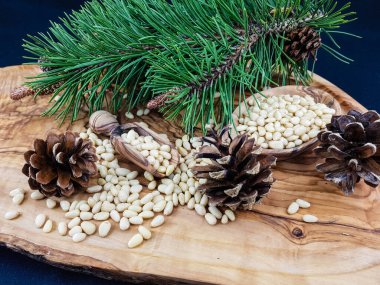 Sedir konileri ve zeytin ağacında fındıklar