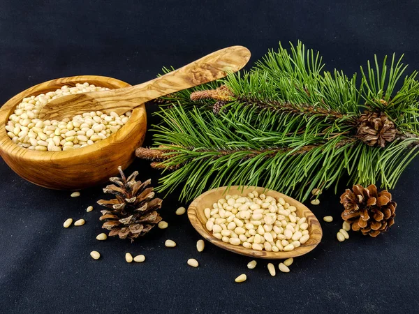 Sedir konileri ve zeytin ağacında fındıklar