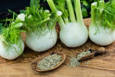 yeşil ve beyaz rezene soğanları zeytin ağacında