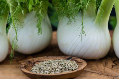 yeşil ve beyaz rezene soğanları zeytin ağacında