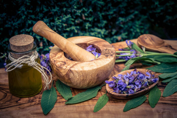 Blue Sage blossoms and green leaves on olive wood