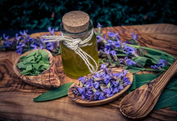 Blue Sage Blossoms Green Leaves Olive Wood — Stock Photo, Image