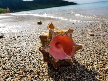 Antigua kıyılarında.