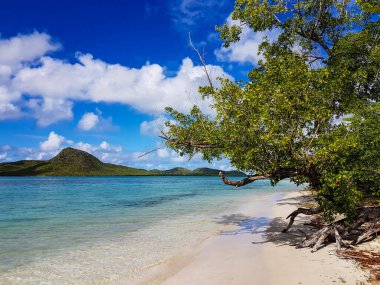 at the coastline of Antigua