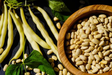 Garden beans Phaseolus vulgaris in the old land next to hamburg