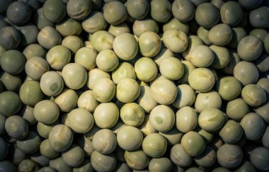 soyut arkaplan ya da duvar kağıdı olarak renkli gıdalar