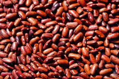 soyut arkaplan ya da duvar kağıdı olarak renkli gıdalar