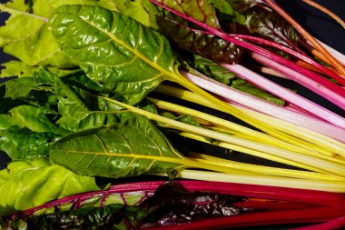 Hamburg 'un yanındaki eski topraklarda 