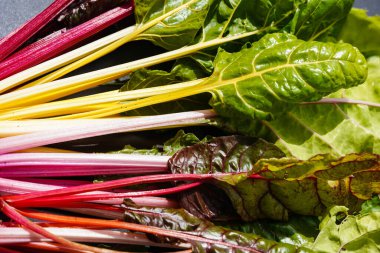 Hamburg 'un yanındaki eski topraklarda 