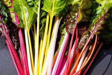 Hamburg 'un yanındaki eski topraklarda 