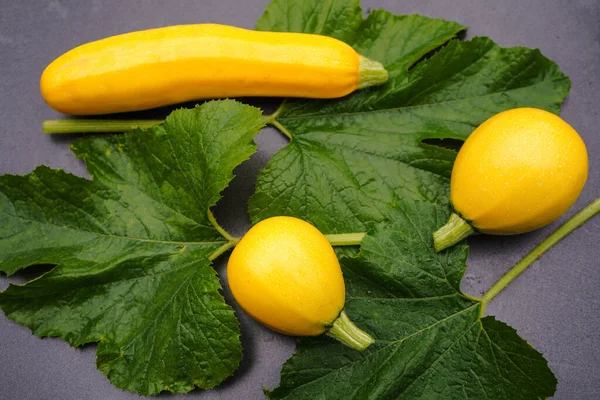 Zucchini Cucurbita Pepo Old Land Next Hamburg — Stock Photo, Image