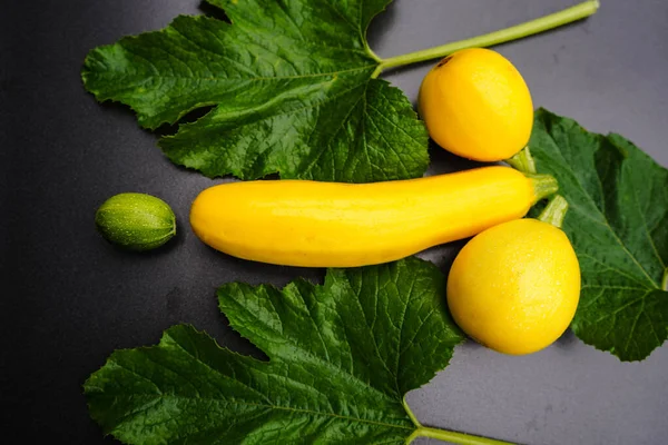 Zucchini Cucurbita Pepo Old Land Next Hamburg — Stock Photo, Image