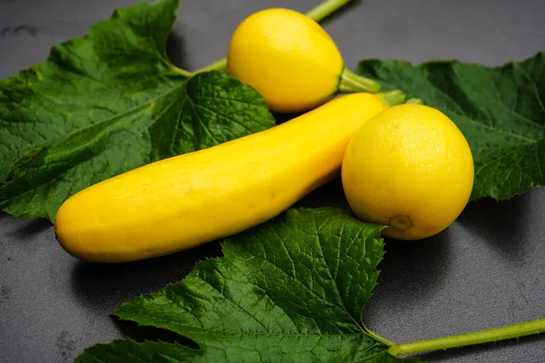 Zucchini Cucurbita Pepo Old Land Next Hamburg — Stock Photo, Image