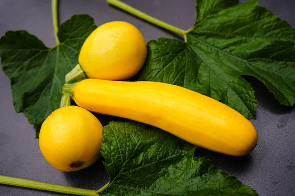 Zucchini Cucurbita Pepo Det Gamla Landet Bredvid Hamburg — Stockfoto