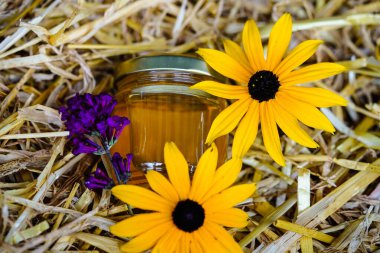 Arılar iyi bir bal için sarı ayçiçeğinden polen toplarlar.