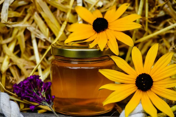 Las Abejas Recogen Polen Girasol Amarillo Para Una Buena Miel —  Fotos de Stock