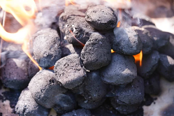 Ясо Грилі Деревного Вугілля — стокове фото