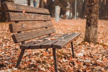 Bir sonbahar gününde rahatlama bankı