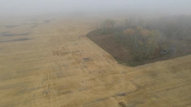 Havadan bakan sisli bir manzarada hasat tarlaları ve sonbahar renkli ağaçlar.