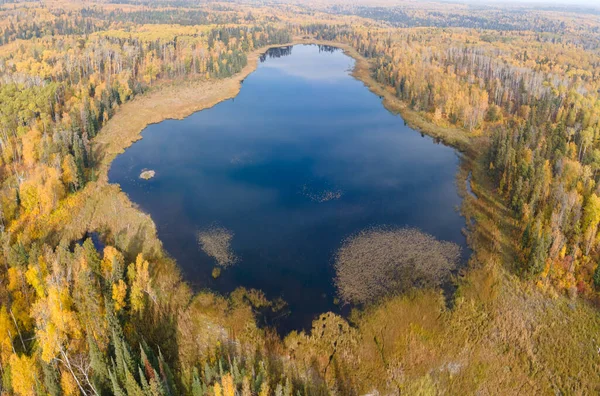 俯瞰着秋天五彩斑斓的树木环绕的小湖 映衬着深蓝色的天空 — 图库照片