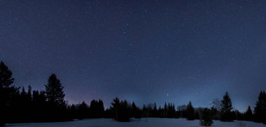 Gece gökyüzü binlerce yıldızla dolu bir kış manzarasında çam ve çam ağaçları siluetleriyle