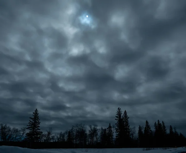 Night Sky Full Clouds Moon Shining Snow Ground Forest Background — Stock Photo, Image