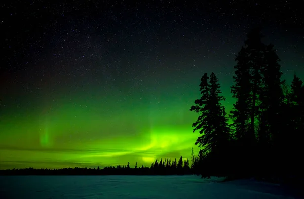 Aurora Borealis Frozen Lake Forest Silhouetted Midground — Stock Photo, Image