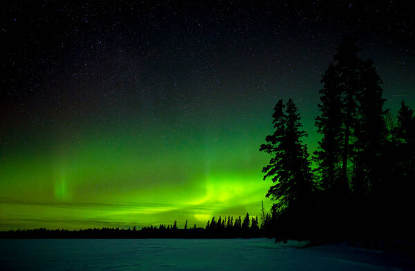 Aurora Borealis above a frozen lake with a forest silhouetted in the midground