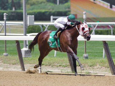 Jose Lezcano yarışı, tarihi Belmont Parkı 'nda yeni bir galibiyet için bitiş çizgisine doğru güçlü bir şölen düzenliyor.