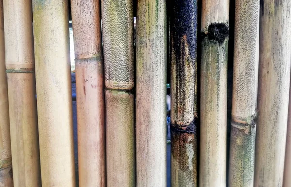 Коричневый Сухой Бамбуковый Фон — стоковое фото