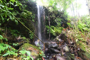 Bali Endonezya 'nın Tabanan hükümdarlığı' ndaki Babahan köyünde küçük bir şelale ve akarsu.