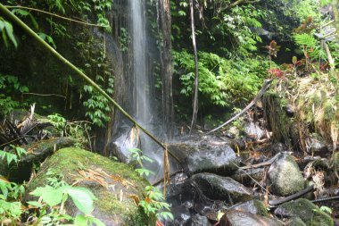 Bali Endonezya 'nın Tabanan hükümdarlığı' ndaki Babahan köyünde küçük bir şelale ve akarsu.