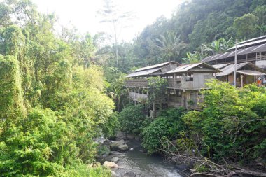 Bali Endonezya 'nın Babahan köyünde nehir kenarında tavuk çiftliği.