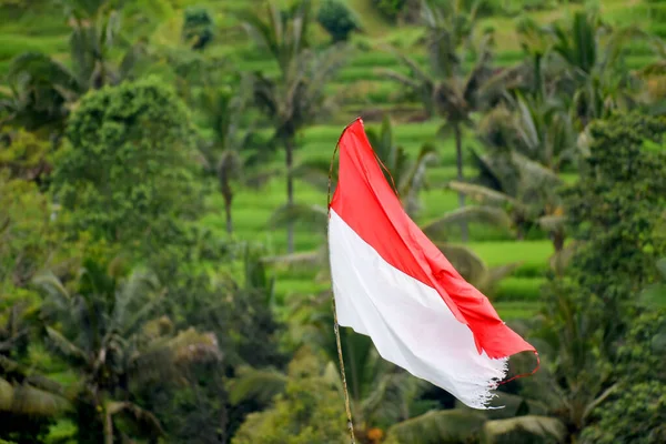 Bandiera Indonesiana Colore Rosso Bianco Bendera Merah Putih Giorno Dell — Foto Stock