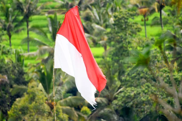 Drapeau Indonésien Couleur Rouge Blanche Bendera Merah Putih Fête Indépendance — Photo