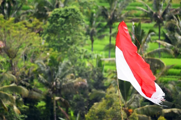 Indonesisk Flagga Röd Och Vit Färg Bendera Merah Putih Indonesiska — Stockfoto