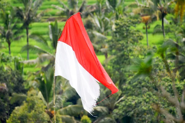 Bandiera Indonesiana Colore Rosso Bianco Bendera Merah Putih Giorno Dell — Foto Stock